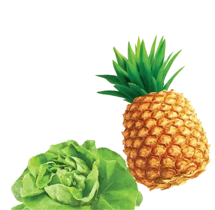 Tipti